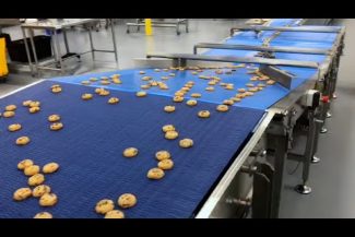 SleekWrapper HSA Highspeed Cookie Flow Wrapping Machine