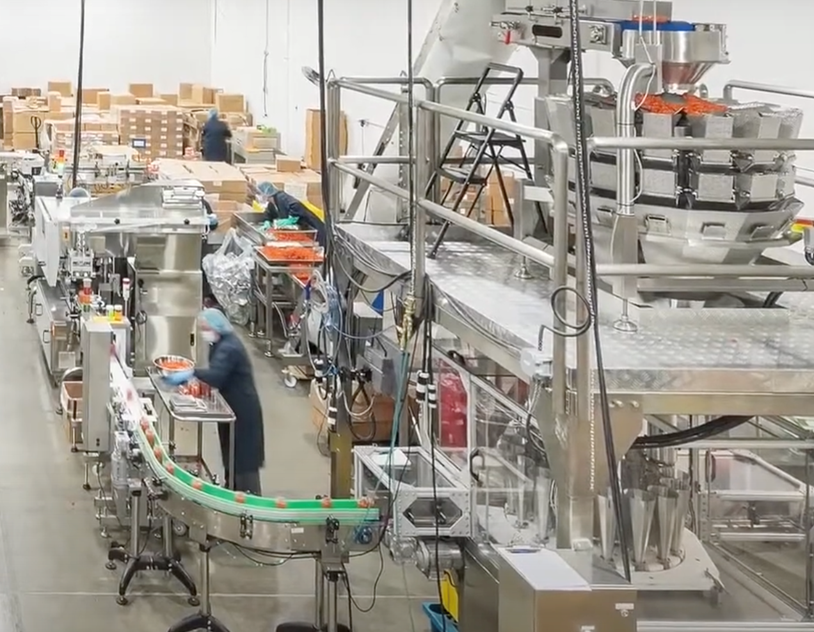 Spindexer in facility container filling machine